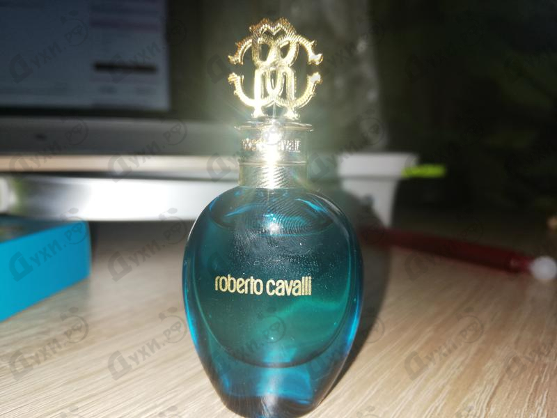 roberto cavalli acqua price